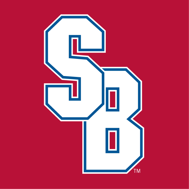 Stony Brook Seawolves 2008-Pres Alternate Logo v3 diy iron on heat transfer
